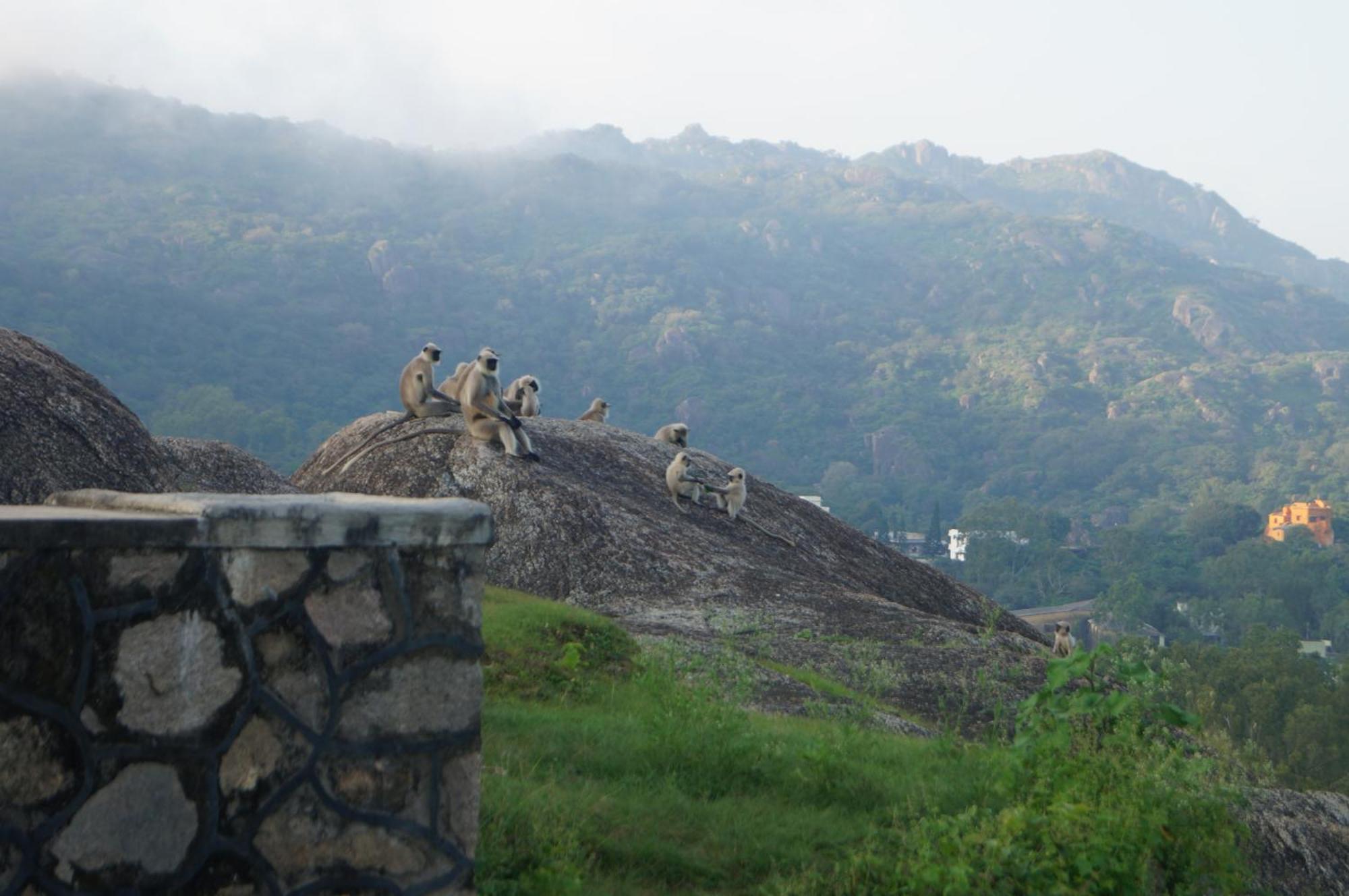 Eminence - Palm Residency Hotel Mount Abu Exterior photo